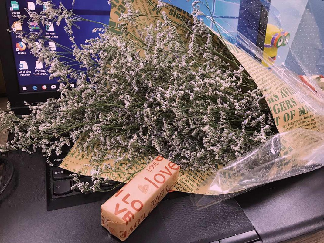 Công Ty Cổ Phần Quốc Tế Green Vina